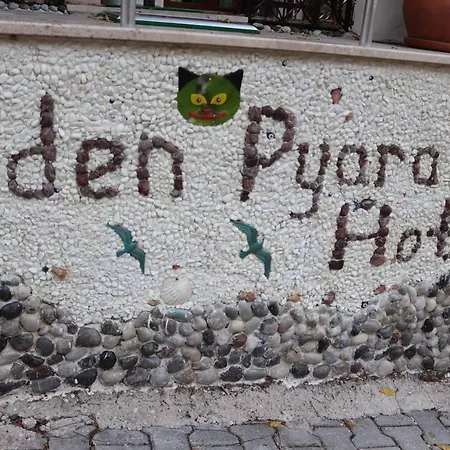 Hotel Eden Pyara 2*
